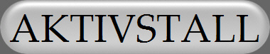 AKTIVSTALL